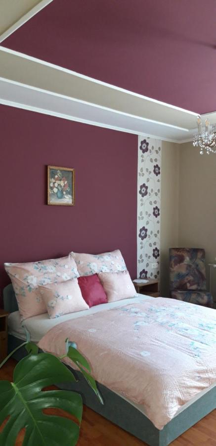 Ildi Apartman Дьєнешдіаш Екстер'єр фото